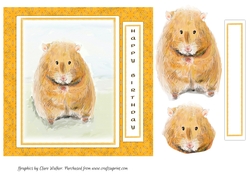 HAMSTER BIRTHDAY CARD: 7x7, With Hamster Decoupage,Extra Blank Sentiment Tag, & Commercial Use