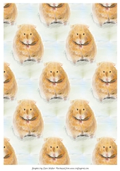 HAMSTER BACKGROUND/BACKING PAPER: A4, With Commercial Use