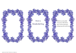 DELPHINIUMS: 3 x Floral Inserts, 2 With Verse