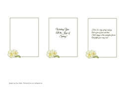 3 PRIMROSE FLORAL INSERTS: For Birthdays/Other Occasions, 1 Blank, 2 With Verse.