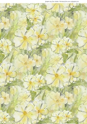 PRIMROSES: A4 Floral Background/Backing Paper