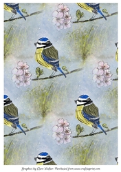 BLUE TIT & BLOSSOM: A4 Background/Backing Paper
