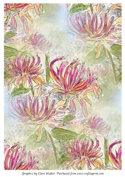 HONEYSUCKLE: A4 Background/Backing Paper