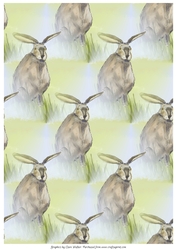 HARE: A4 Background Paper/Backing Paper With Commercial Use