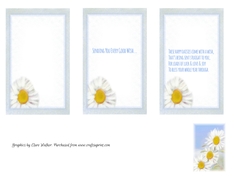 3 DAISY INSERTS: 3 x Floral Inserts (1 Blank, 2 With Verse) & Bonus Mini-Gift Tag
