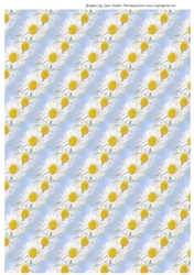 DAISY BACKGROUND/BACKING PAPER: A4 With Commercial Use