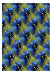 HYACINTH MACAW/BLUE PARROT BACKGROUND: A4 Backing Paper/Craft Paper With Commercial Use