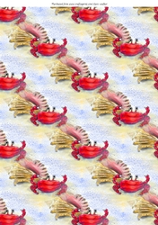 CRAB & SEASHELL: A4 Background/Backing Paper With Commercial Use
