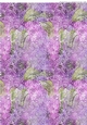 LILACS: A4 Abstract Floral Background/Backing Paper With Commercial Use