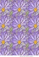 PURPLE ASTERS BACKGROUND:A4 Purple Floral Multi-Directional Backing Paper, With Commercial Use