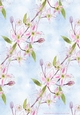 CLEMATIS BACKGROUND: A4 Multi-Directional Floral Backing Paper