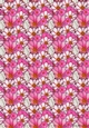 PINK COSMOS FLORAL BACKGROUND: A4 Patterned Backing Paper