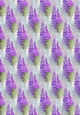 PINK & PURPLE LUPIN BACKGROUND: A4 Floral Patterned Backing Paper