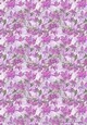 BOUGAINVILLEA BACKGROUND: A4 Multi-Directional Pink Floral Patterned Backing Paper