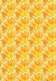 BRIGHT ORANGE FLORAL BACKGROUND: A4 Multi-directional Marigold, Calendula or Daisy Petal Fan Patterned Backing Paper