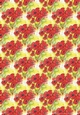 POPPY CLUSTER BACKGROUND: A4 Red Poppies Floral Patterned Backing Paper