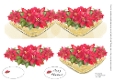 POINSETTIAS: Shaped Christmas Card, With 2 Layers of Decoupage and 2 Tags