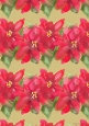 A4 POINSETTIA BACKING PAPER: Red and Green Watercolour Poinsettias on Gold Background