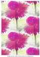 DAHLIAS: A4 Background/Backing Paper 2, With Commercial Use