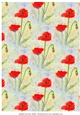 POPPIES BACKING PAPER/BACKGROUND: A4 With Commercial Use