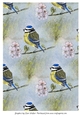 BLUE TIT & BLOSSOM: A4 Background/Backing Paper