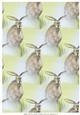 HARE: A4 Background Paper/Backing Paper With Commercial Use