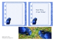 2 HYACINTH MACAW/BLUE PARROT INSERTS: One Blank, One With Short Verse, & Bonus Gift Tag