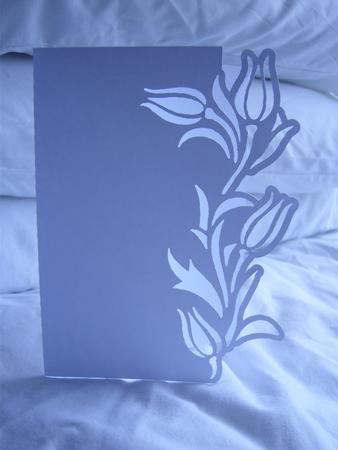 Border Edge Card 39