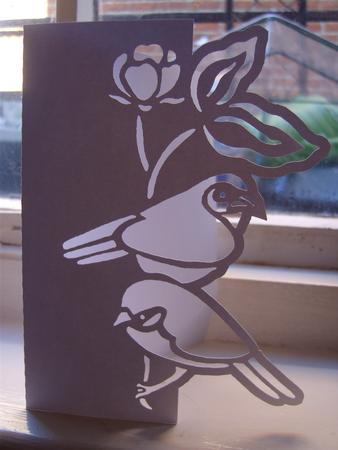 Birds 2 Over the Edge Card