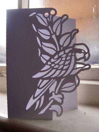 Parrot Over the Edge Card
