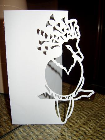 Peacock Over the Edge Card 1