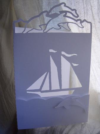 Sailing With Dolphins