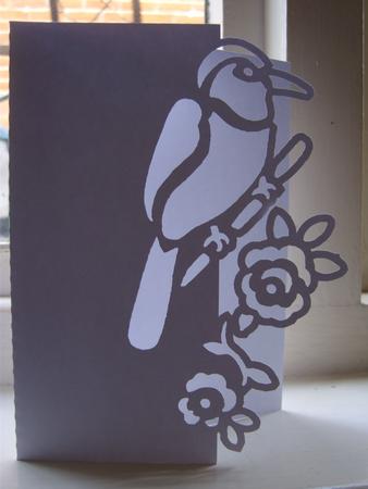 Bird Over The Edge Card 3