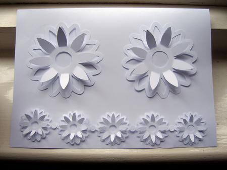 Pop Up Border With Matching Pop Up Flower