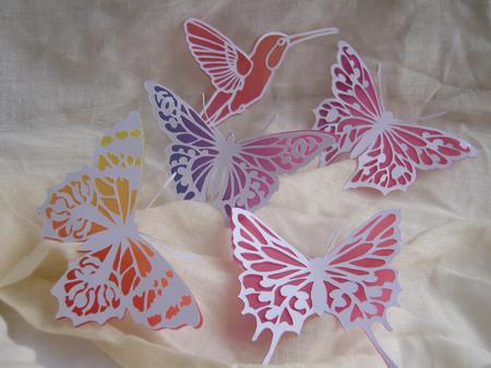 4 Butterflies And Humming Bird