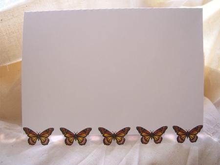 Butterfly Horizontal Edge Card 1