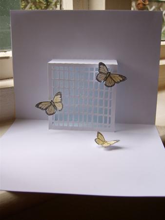 Pop Up Lattice Card With Butterflies - CUP703699_198 | Craftsuprint