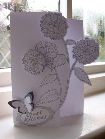 SCANNCUT OPTIMISED Line Art (over The Edge) Card 12 With Butterflies