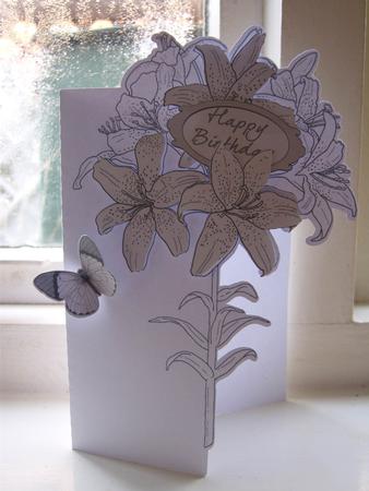 SCANNCUT OPTIMISED Line Art (over The Edge) Card 13 With Butterfly