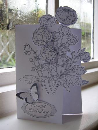 SCANNCUT OPTIMISED Line Art (over The Edge) Card 14 With Butterflies