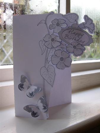 SCANNCUT OPTIMISED Line Art (over The Edge) Card 20 With Butterflies