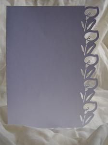 Border Edge Card 5