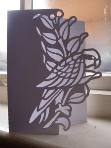 Parrot Over the Edge Card