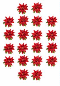 Poinsettias
