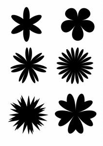 Flowers 2