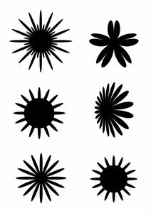 Flowers 3