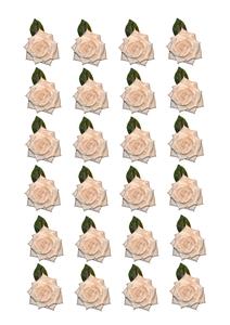Flowers 03