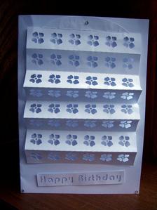 Concertina Card 1