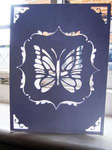 Framed Butterly Card