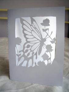 Framed Butterfly